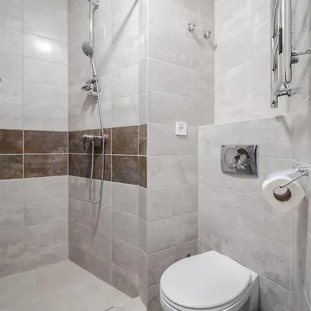 Golden Violin ! Lägenhet Lviv