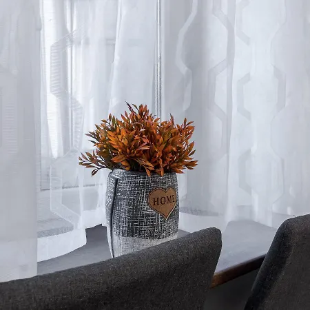 Golden Violin ! Lviv